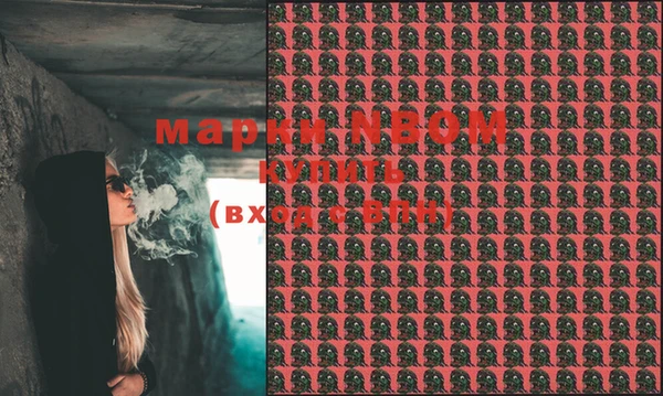 мдпв Балахна