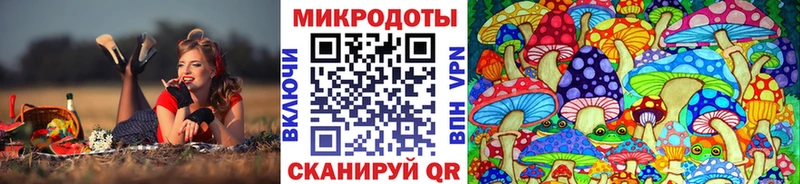 blacksprut сайт  Бобров  Псилоцибиновые грибы прущие грибы 