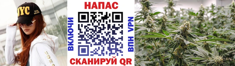 наркотики  Бобров  Бошки марихуана планчик 